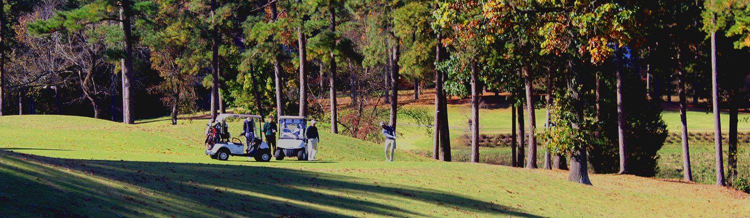 CatfishClassic-GolfersonCourse